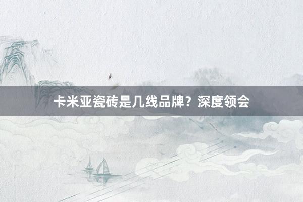 卡米亚瓷砖是几线品牌？深度领会