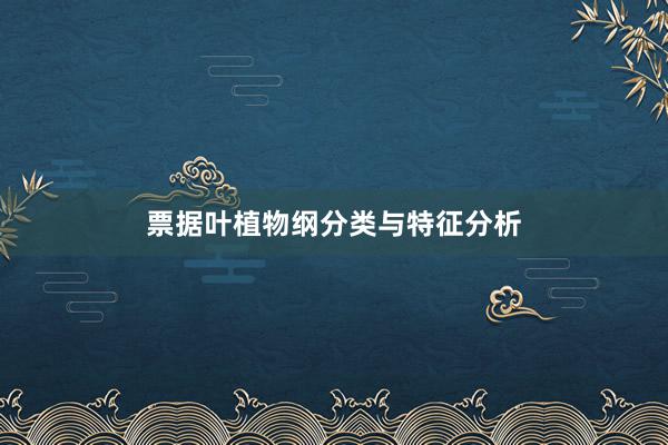 票据叶植物纲分类与特征分析
