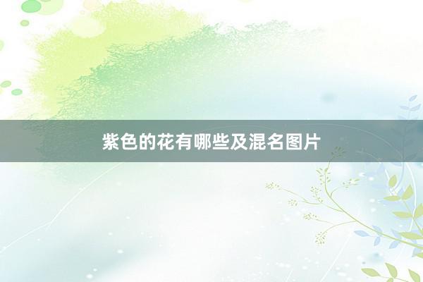紫色的花有哪些及混名图片
